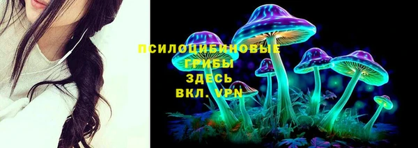 прущие крисы Новодвинск