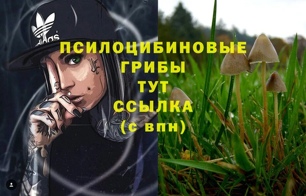 кокаин премиум Медвежьегорск