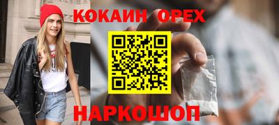 гашик Сланцы