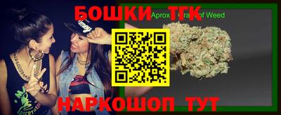 гашик Сланцы
