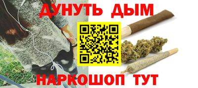 гашик Сланцы