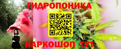 гашик Сланцы