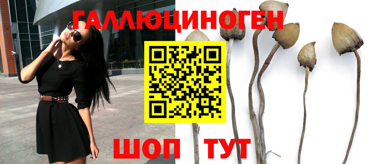 Галлюциногенные грибы Cubensis  Вход с VPN  Одинцово 
